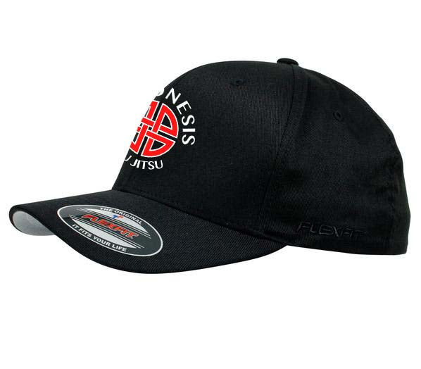 Phronesis Jiu Jitsu  Flex Fit Cap