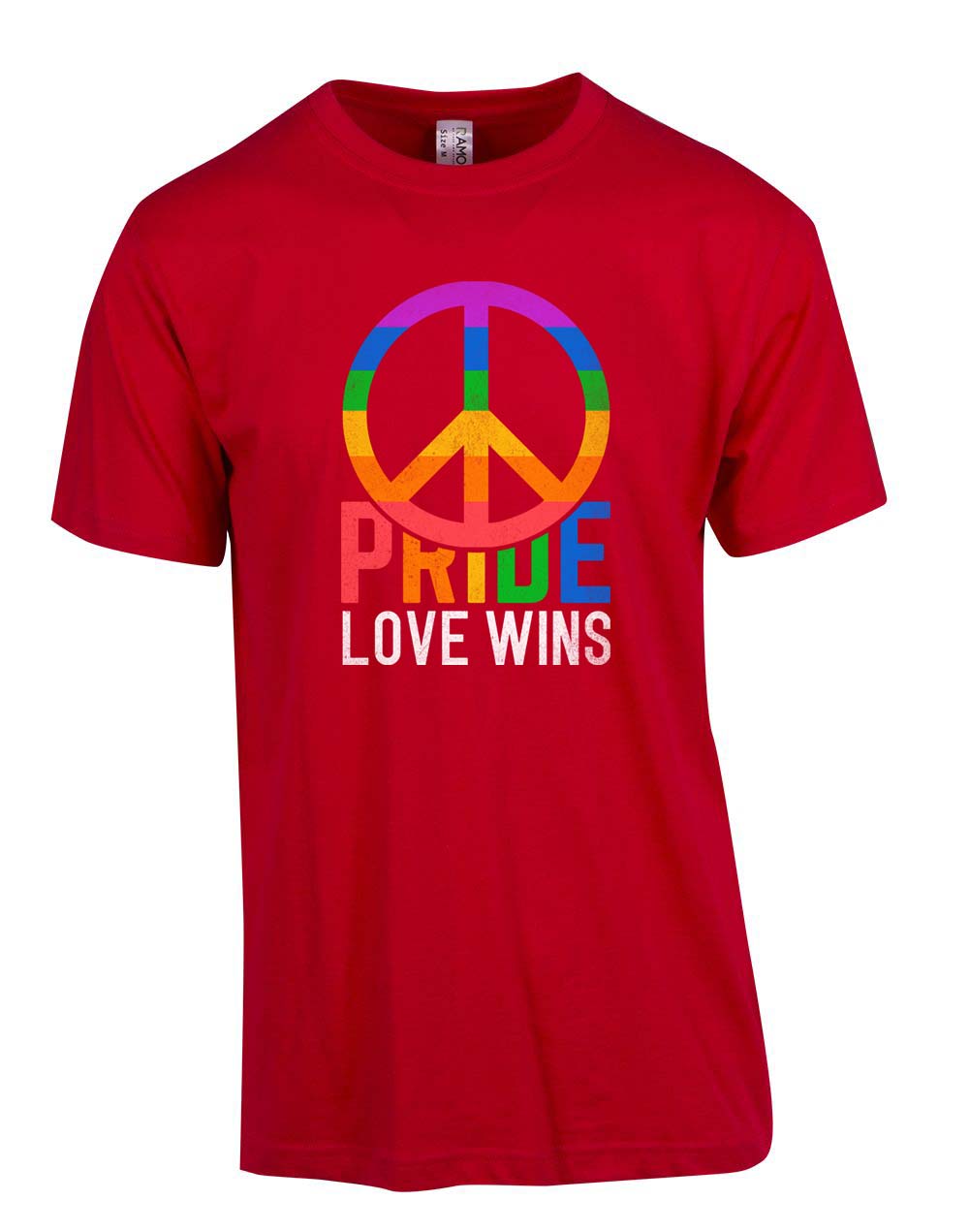 Pride Love Wins T Shirt